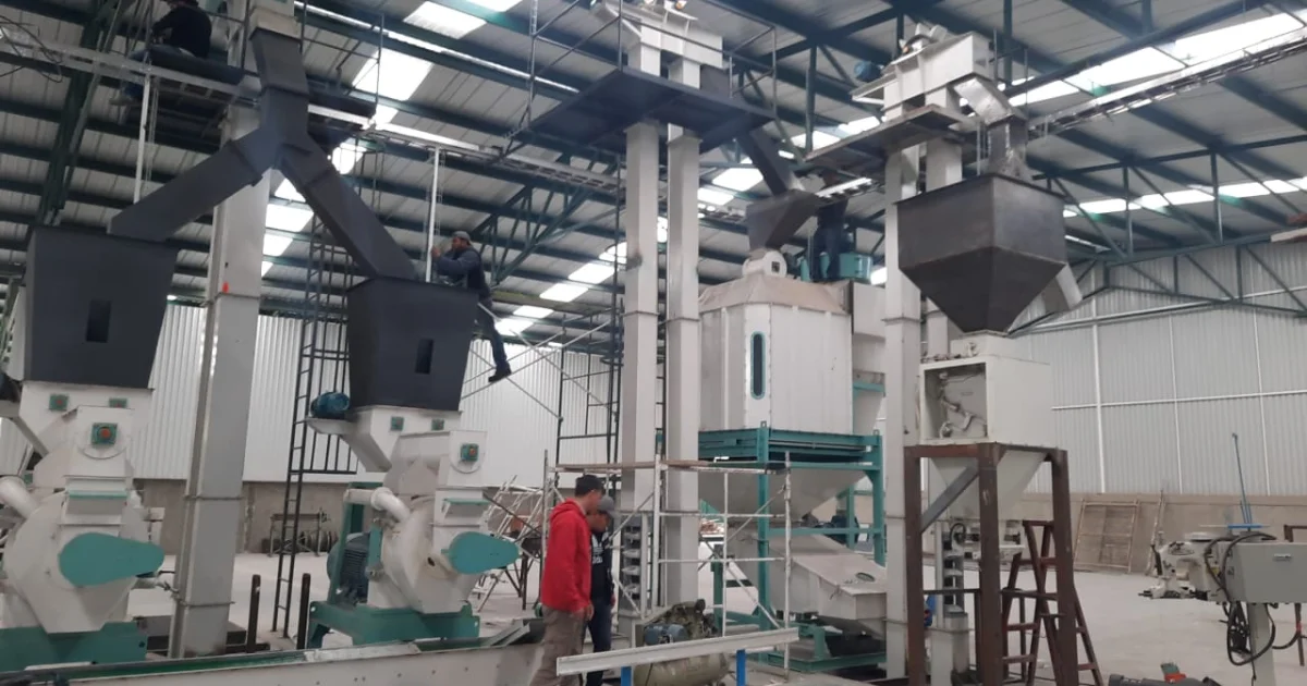 Instalacion de Planta de Pellets de Madera para Gran Industria