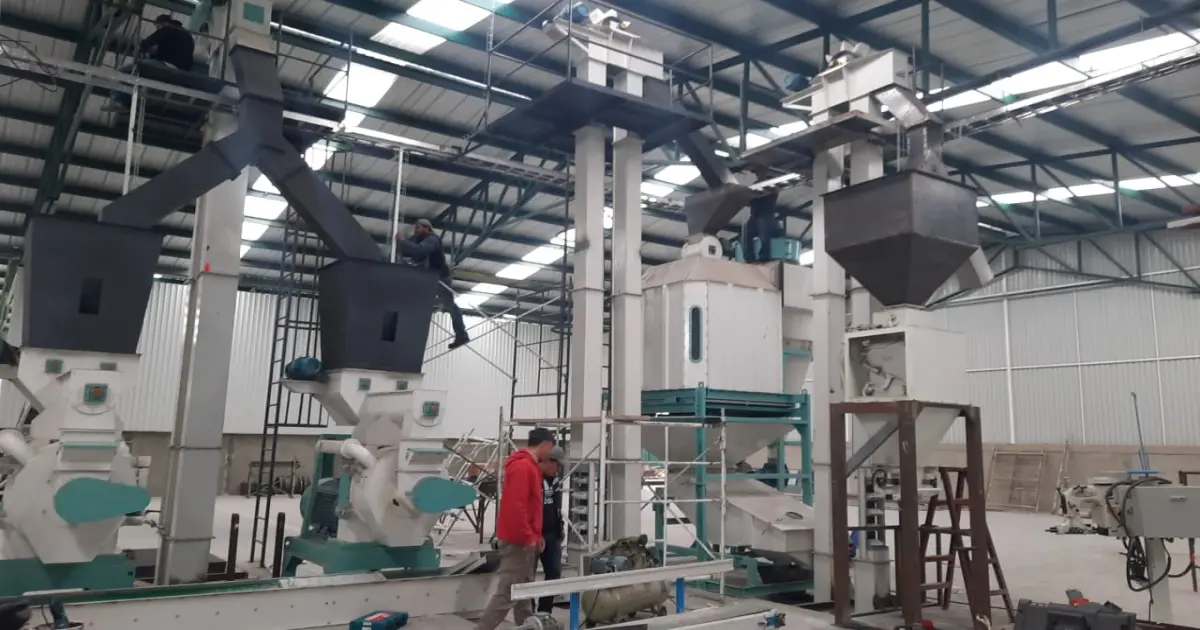 Montaje y Puesta en Marcha de Fábricas de Pellets Industriales